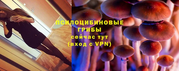 mdpv Михайлов