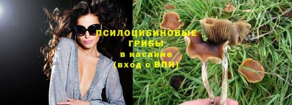 mdpv Михайлов