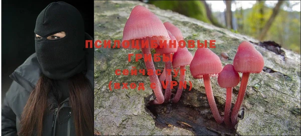 мдпв Михайловск