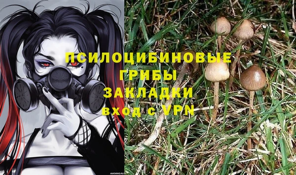 мдпв Михайловск